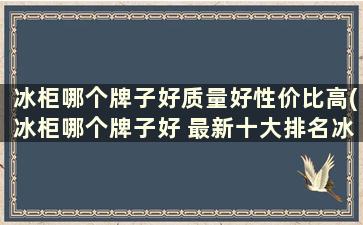 冰柜哪个牌子好质量好性价比高(冰柜哪个牌子好 最新十大排名冰箱)